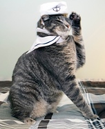 Sailor Cat Homemade Costume