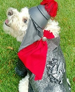 Saint George the Dragon Slayer Dog Homemade Costume