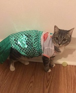 Sassy Mermaid Cat Homemade Costume