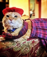 Scottish Laddie Cat Homemade Costume