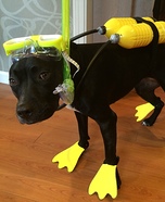 Scuba Dog Homemade Costume