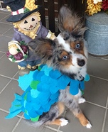 Seafood Dog Homemade Costume