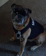 Security Guard Costume