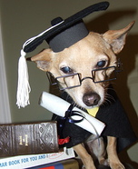 Senior Graduate Homemade Costume