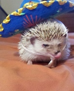 Senor Shadow Costume