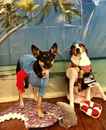 Shark Attack Dogs Homemade Costume