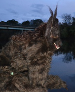 She-Werewolf Costume