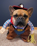 Sheriff Dog Costume