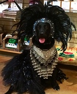 Showgirl Dog Homemade Costume