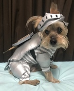 Sir Lexington the Grumpy Knight Homemade Costume
