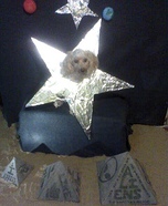 Sirius the Dog Star Homemade Costume
