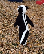 Skunk Homemade Costume