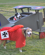 Snoopy vs. The Red Baron Costume