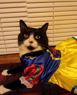 Snow White Cat Costume