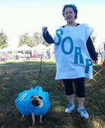 Soap and Loofah Homemade Costume