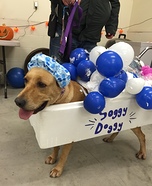 Soggy Doggy Homemade Costume