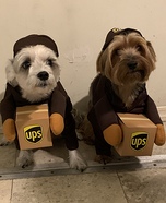 Special Delivery Dogs Homemade Costume