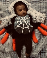 Spider Costume