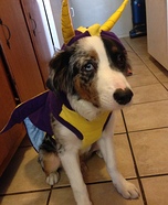 Spyro the Dragon Homemade Costume