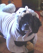 Squirrel  Costume for Dogs