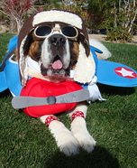 Star-Spangled Halloween Costume