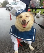 Stay Puft Dog Homemade Costume
