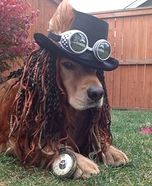 Steampunk Costume for Dogs