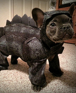 Stegosaurus Dog Costume