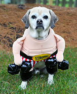 Strong Man Dog Costume