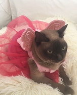 Sugar Plum Fairy Cat Costume
