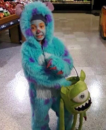 Monsters Inc. Sulley Costume