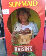 Sun Maid Raisin Box Homemade Costume