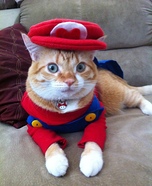 Super Mario Cat Homemade Costume