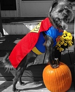 Super Scruffy Costume