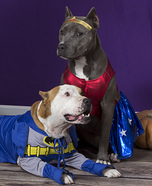 Superdog Heroes Costumes