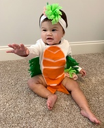 Sushi Roll Baby Homemade Costume
