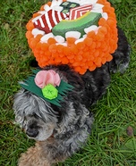 Sushi Roll Dogs Homemade Costume