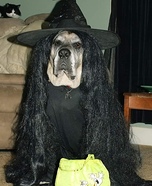 Tabitha the Witch Homemade Costume