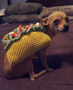 Chihuahua Taco Costume