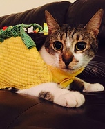 Taco Cat Costume