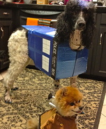 Kreatív jelmez ötletek kutyák számára: Tardis és Dalek Halloween jelmez