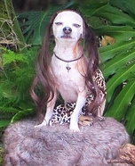 Tarzan Dog Homemade Costume