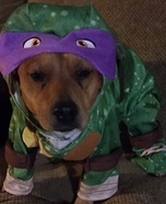 Teenage Mutant Ninja Dog Costume