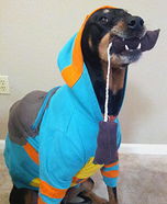 Teenage Mutant Ninja Turtle Dog Homemade Costume