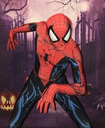 The Amazing Spider-Man Homemade Costume