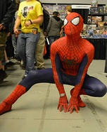 The Amazing Spiderman Adult Costume