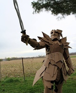 The Cardboard Warrior Costume
