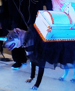 The Coffin Dog Homemade Costume