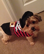 The Cutest Pirate Dog Costume