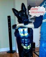 The Dark Knight Batman or Batdog Homemade Costume